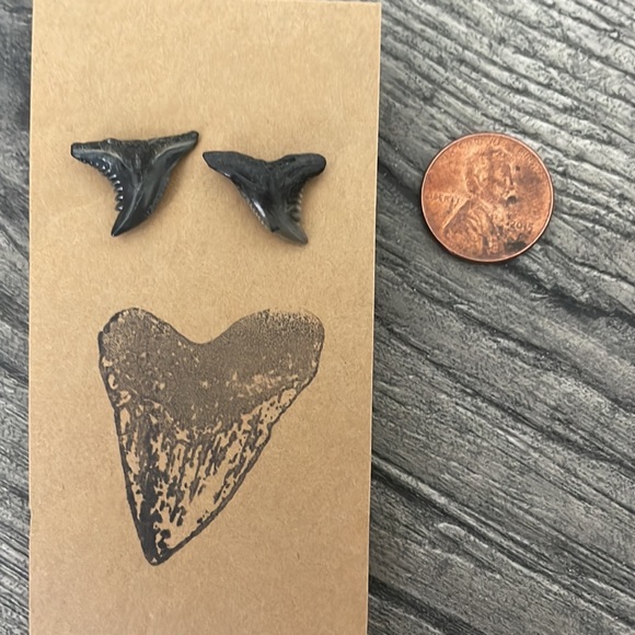 Shark Tooth Stud Earrings - Picture 3 of 3